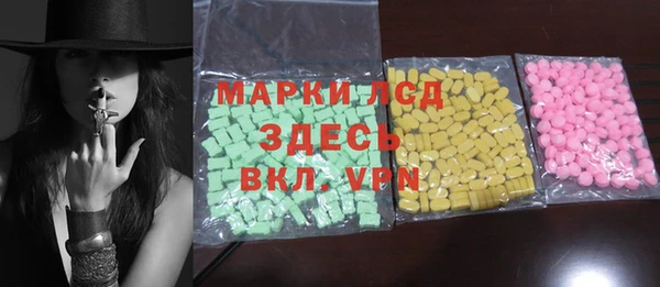 индика Алзамай