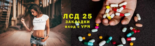 прущие грибы Приозерск