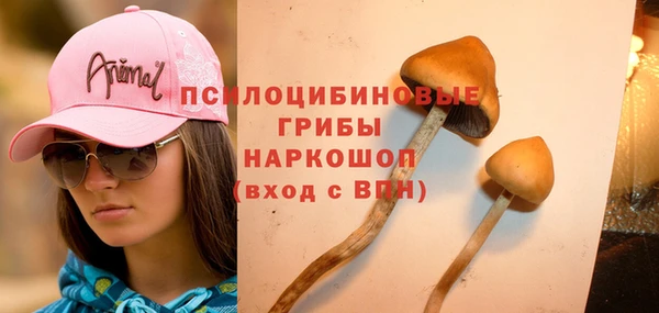 кристаллы Алексин