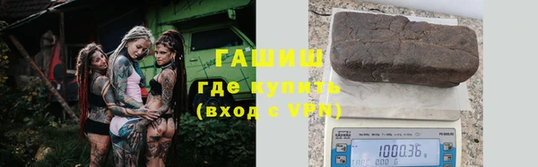 индика Алзамай