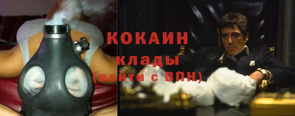 индика Алзамай