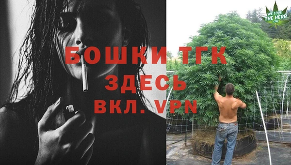гидра Пролетарск