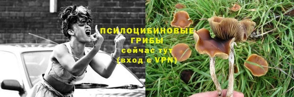 ПСИЛОЦИБИНОВЫЕ ГРИБЫ Алексеевка