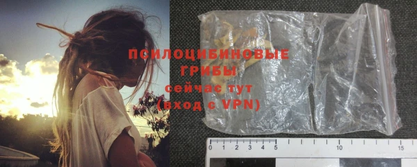 индика Алзамай