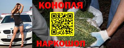 spice Ярославль