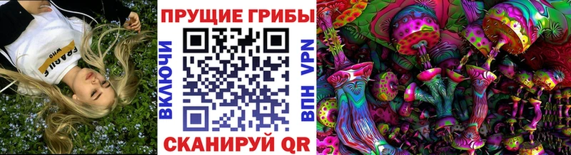 Псилоцибиновые грибы мицелий  даркнет сайт  Бахчисарай 