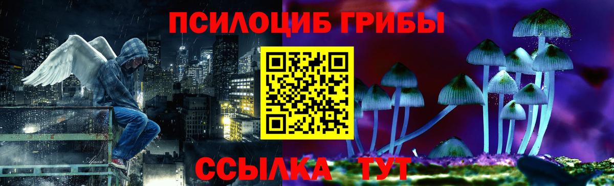 Псилоцибиновые грибы Psilocybine cubensis  Галлюциногенные грибы мицелий  Вход с VPN  Бахчисарай 